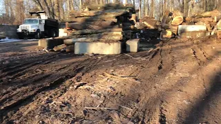 Big logs for the eastonmade 22-28
