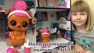 Интерактивный лол питомец. LOL interactive live pet surprise. Видео про ЛОЛ. Видео для девочек ЛОЛ