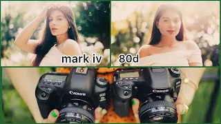 Full Frame vs Crop Sensor Comparison for Beginner Photographers