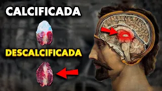 👁️ ASÍ LOGRÉ DESCALCIFICAR MI GLÁNDULA PINEAL | Tercer Ojo