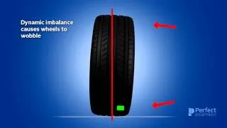 Wheel Balance Training 201 by Perfect Equipment