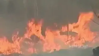 Пожары в Австралии.Fires in Australia