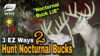 3 Ways To Hunt Nocturnal Bucks