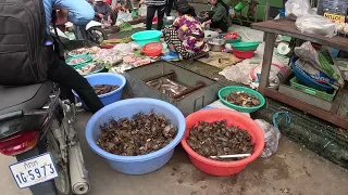 Beautiful Khmer Girls Hate Someone eats their dogs!! | Find Out on the street of Phnom Penh