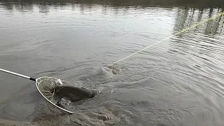 РЫБАЛКА НА ДНЕСТРЕ! БЫВАЕТ И ТАКОЕ...