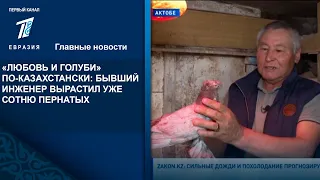 «ЛЮБОВЬ И ГОЛУБИ» ПО-КАЗАХСТАНСКИ: БЫВШИЙ ИНЖЕНЕР ВЫРАСТИЛ УЖЕ СОТНЮ ПЕРНАТЫХ