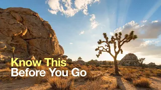 Joshua Tree Hiking Tips