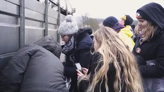 Apporter de l'amour aux animaux durant leurs derniers instants pendant la saint valentin