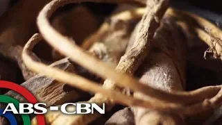 Mga mananambal ng Siquijor | Bandila