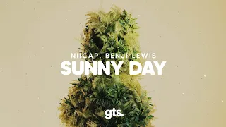 Niicap, Benji Lewis - Sunny Day