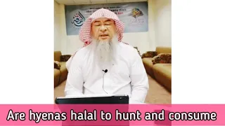 Are Hyenas halal to hunt and eat? - Assim al hakeem