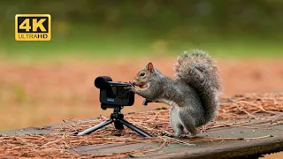 These squirrels know good things come in paper bags!