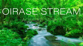 奥入瀬渓流 新緑の風景 4K Fresh Green Oirase Stream Beautiful nature in Aomori Japan 青森の観光名所 自然音 Relax Sounds