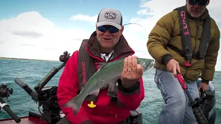 Spring Coho Salmon | Ultimate Fishing Experience - S22 E1 | Lund Boats