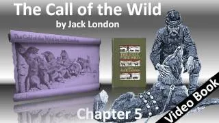 Chapter 05 - The Call of the Wild by Jack London - The Toil of Trace and Tail