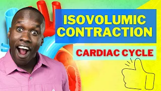 The Cardiac Cycle Phase 2 - Isovolumetric Ventricular Contraction