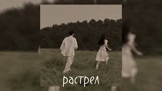 Алёна Швец- Расстрел [speed up]