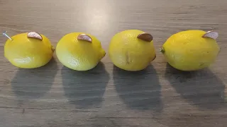 How to Make a Lemon Battery (Cool Science DIY!)