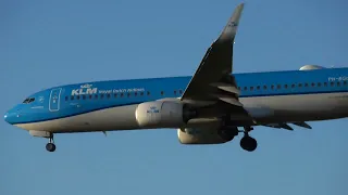 KLM 737 landing at Newcastle NCL #planespotting #klm