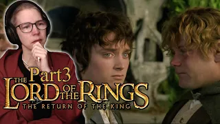 Lord of the Rings: Return of the King (Extended) REACTION | Part 3/3