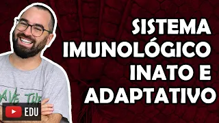 Sistema Imunológico Inato e Adaptativo - Aula 28 - Módulo VII - Histologia e Fisiologia Humana