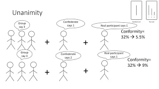 AQA A Level Psychology - Social Influence - Conformity Asch's Research