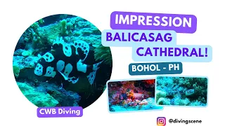 Ultimate Balicasag -  Cathedral Dive Site - Bohol - Philippines