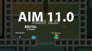 DDRaceNetwork | Aim 11.0 w/ Dummy