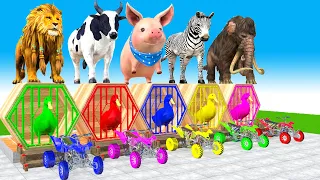 5 Giant Duck, Monkey, Lion, hippo, cow, T rex, elephent, Sheep, Transfiguration funny animal 2023