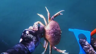 Freedive for Dungeness Crab: Catch and Cook!