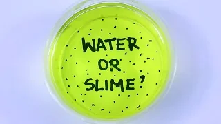 SLIME OR WATER? How many can you guess? COMPILATION VIDEO!