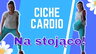 Ciche cardio dla początkujących! Zestaw 25 minutowy, spal 200 kcal! Bez maty- na stojąco!