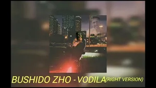 BUSHIDO ZHO - VODILA (RIGHT VERSION/GACHI REMIX)