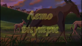 лето внутри