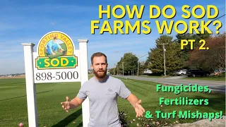 How Do Sod Farms Work (pt 2).