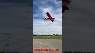 Acrobatic flying eflite maule