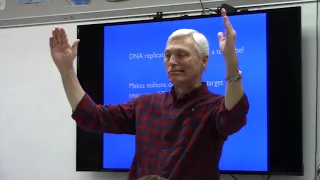 Ruhl PCR lecture