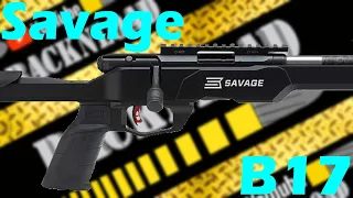 Savage B17 Precision Lite **FULL RACKNLOAD REVIEW**