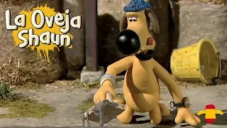 Bitzer Mete La Pata - La Oveja Shaun