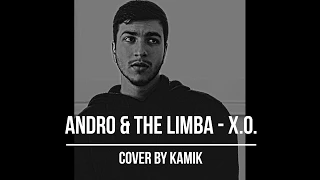 Andro & The Limba - X.O. (cover by kamik)