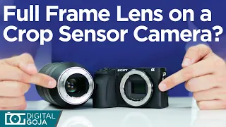 Facts About Full Frame Lenses on APS-C Cameras | Tamron 70-180mm