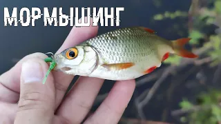 МОРМЫШИНГ ТЕСТ НОВЫХ ПРИМАНОК