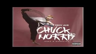 Troy Ave - Chuck Norris