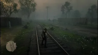 Perfect Timing - Red Dead Redemption 2