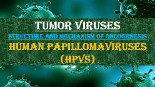 Human Papilloma Virus 🦠😈 || HPV || Tumor Viruses || Structure and Mechanism of Oncogenesis ||