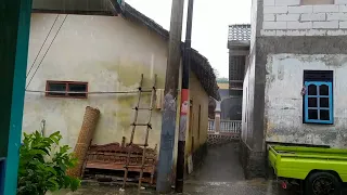 The solution to insomnia | heavy rain all day in rural Indonesia| Java Rain Walk