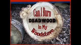 Can I Burn Deadwood In My Wood Stove Or Fireplace?