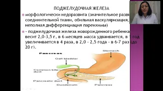 Анатомо физиологические особенности пищеварительной системы у детей  Синдром рвоты и срыгивания