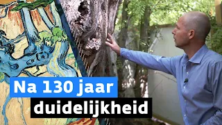 Nederlander ontrafelt groot Van Gogh-mysterie