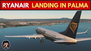 Ryanair *Split Scimitar* | Landing in Palma De Mallorca | B737-800NG | EI-DLY